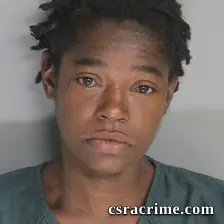 Alvina Hill booking photo