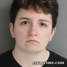 Alyssa Ashline booking photo