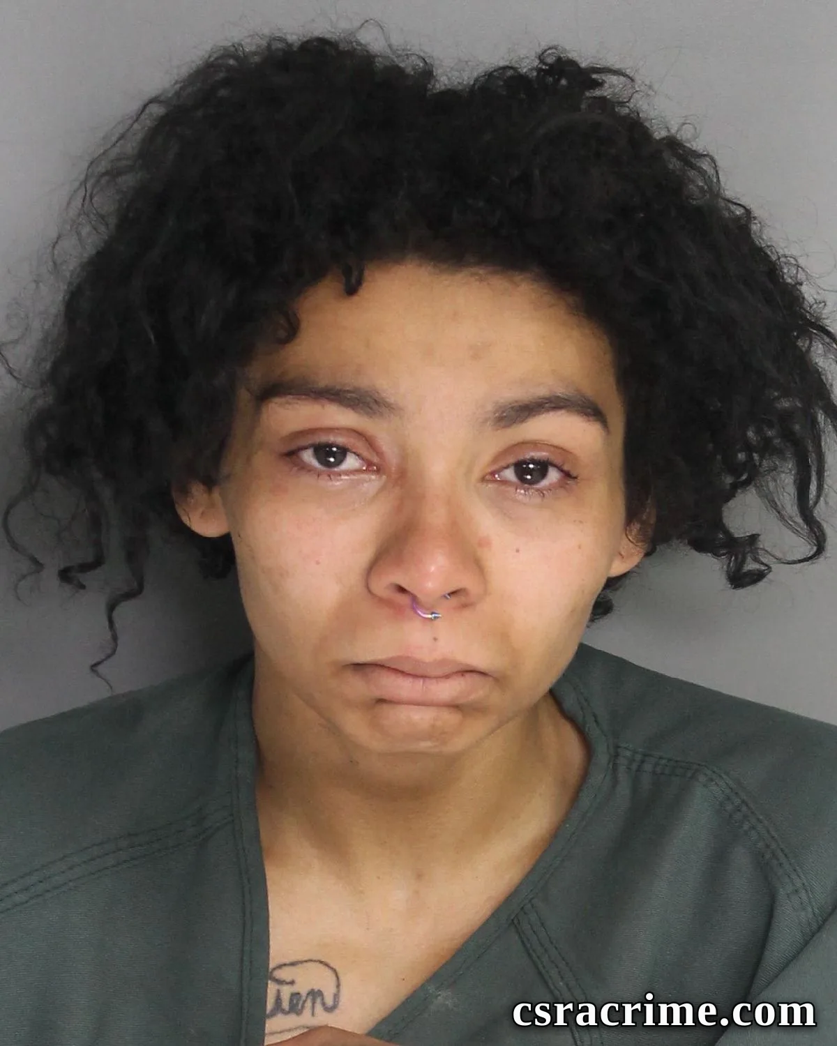 Alyssia Long booking photo