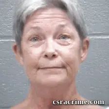 Amanda Adams booking photo