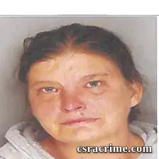 Amanda Berry booking photo