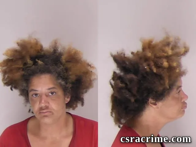 Amanda Brown booking photo