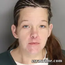 Amanda Carpenter booking photo
