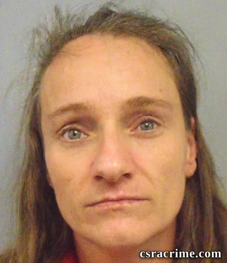 Amanda Charlene Wilkes booking photo