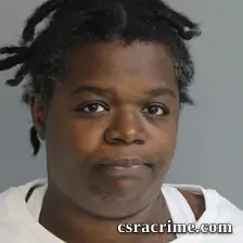 Amanda Cheatham booking photo
