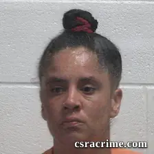 Amanda Denise Brown booking photo