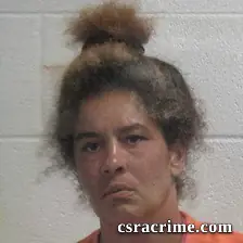 Amanda Denise Brown booking photo