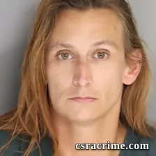 Amanda Fulmer booking photo