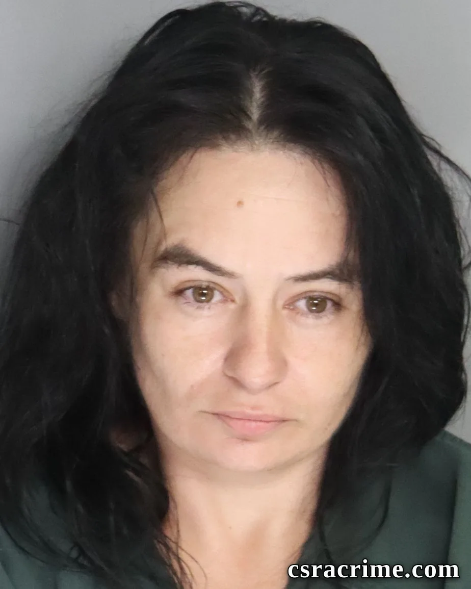 Amanda Hays booking photo