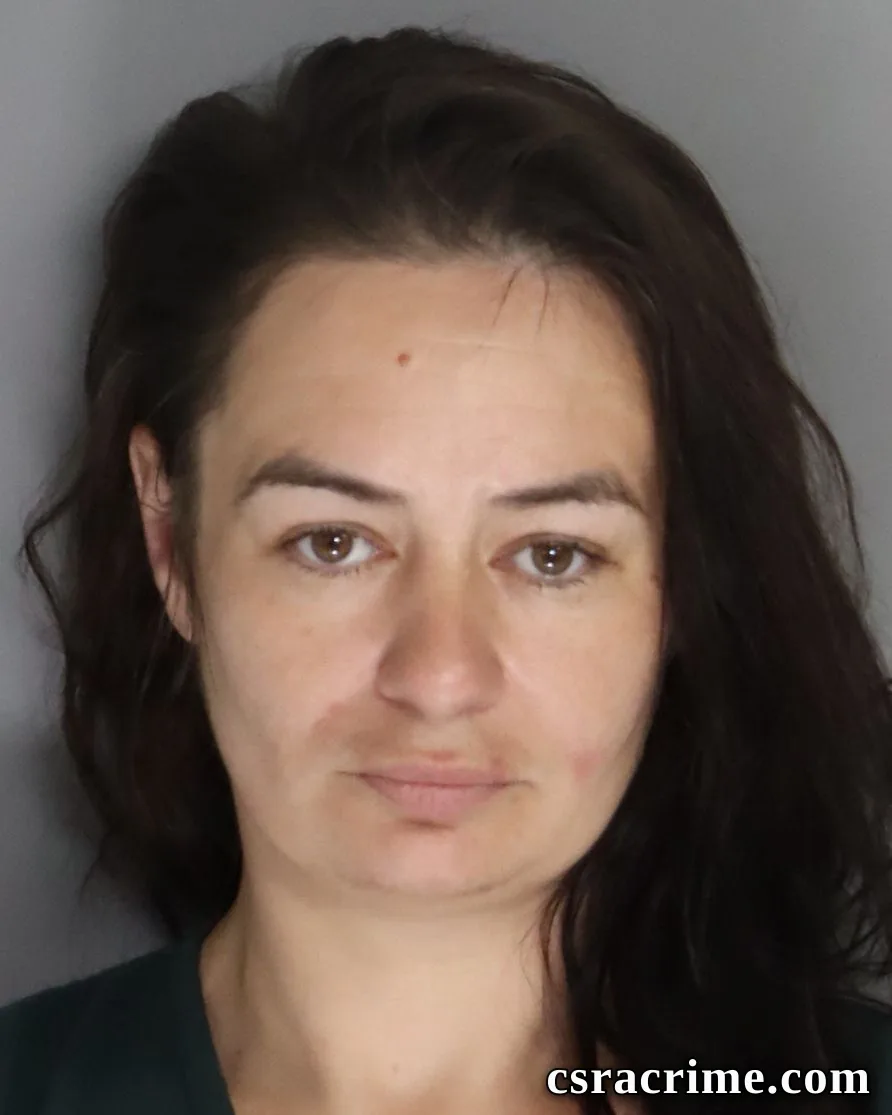 Amanda Hays booking photo