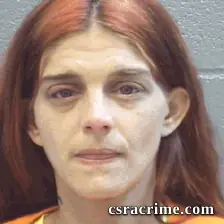 Amanda Holsomback booking photo
