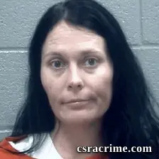 Amanda Johnson booking photo