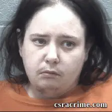 Amanda Lee booking photo