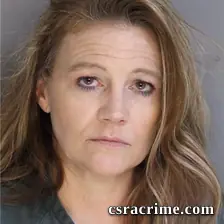 Amanda Lee booking photo