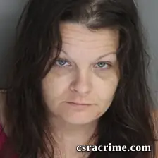Amanda Lee booking photo