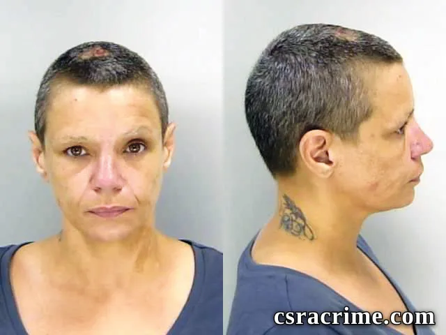 Amanda Nelson booking photo