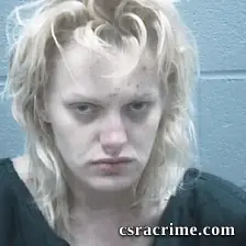 Amanda Rester booking photo