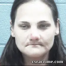 Amanda Ritchie booking photo