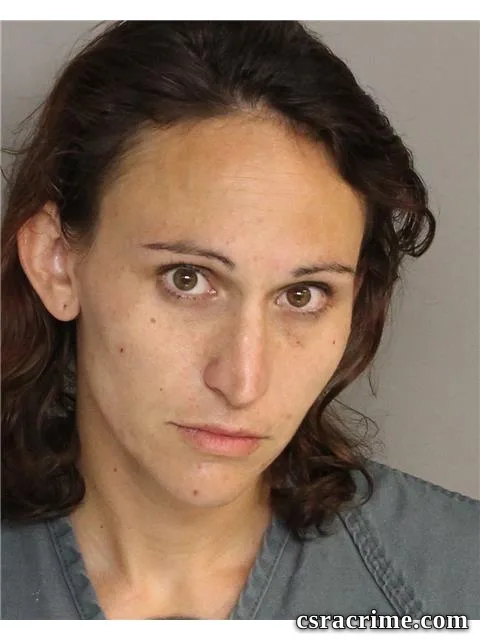 Amanda Shirley booking photo