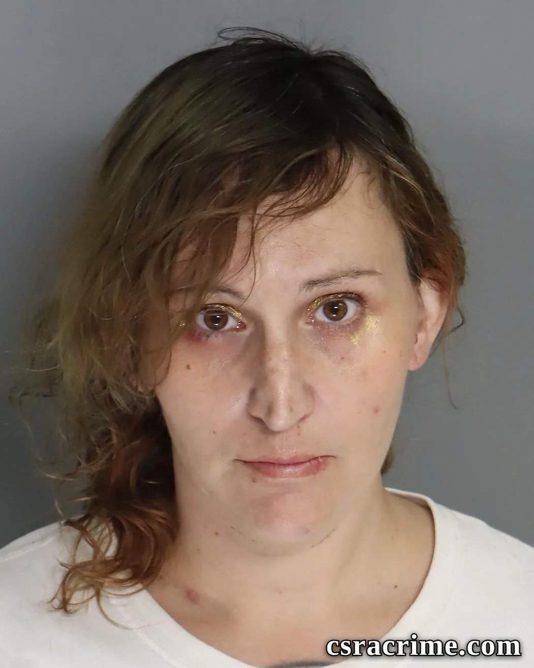 Amanda Shirley booking photo