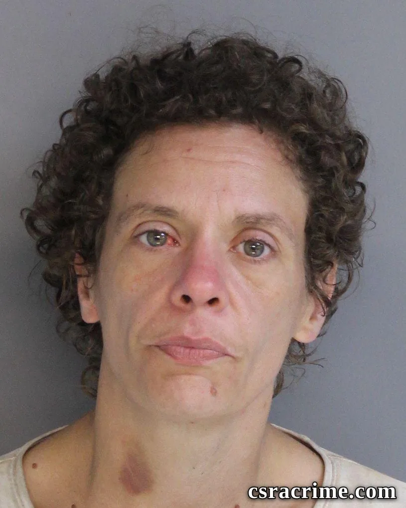 Amanda Spires booking photo