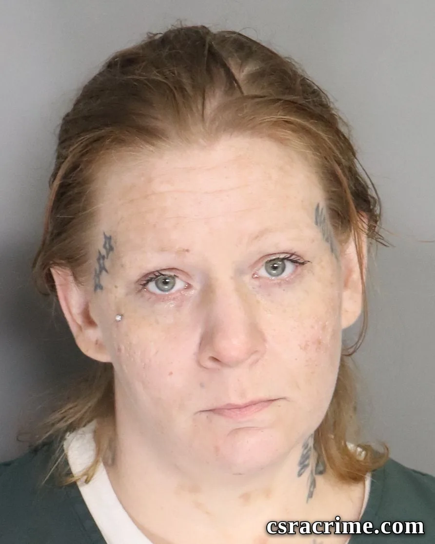 Amanda Stephens booking photo