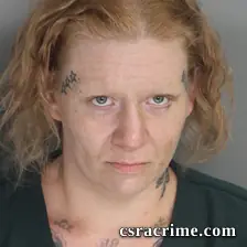 Amanda Stephens booking photo