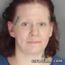 Amanda Stephens booking photo
