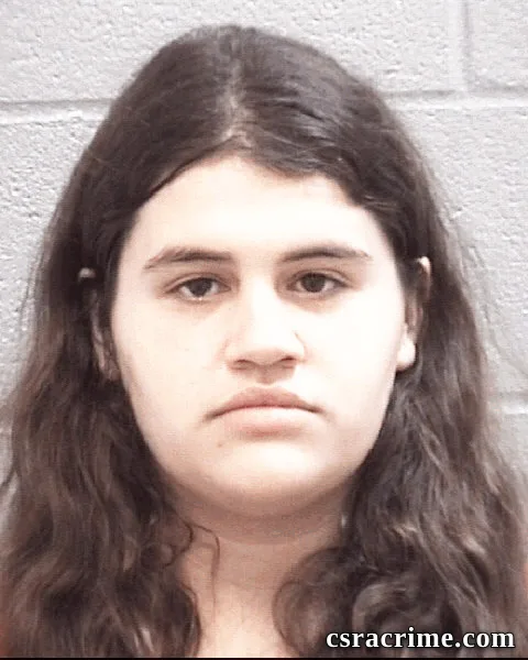 Amanda Wilkes booking photo