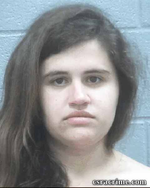Amanda Wilkes booking photo