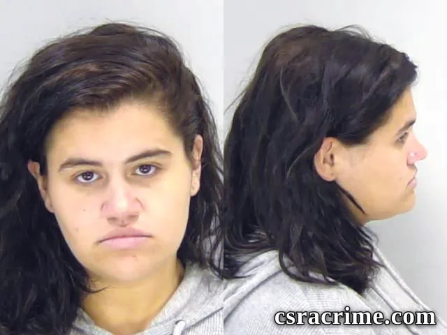 Amanda Wilkes booking photo