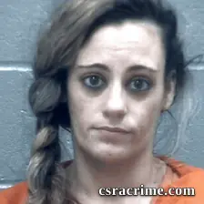 Amanda Williams booking photo