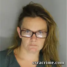 Amanda Wood booking photo
