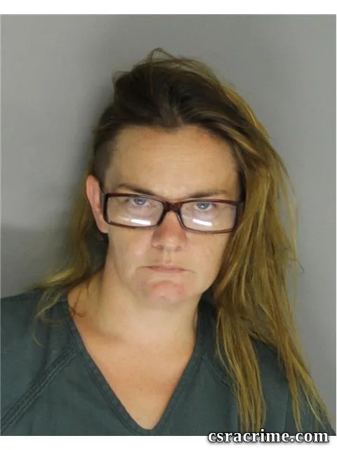 Amanda Wood booking photo