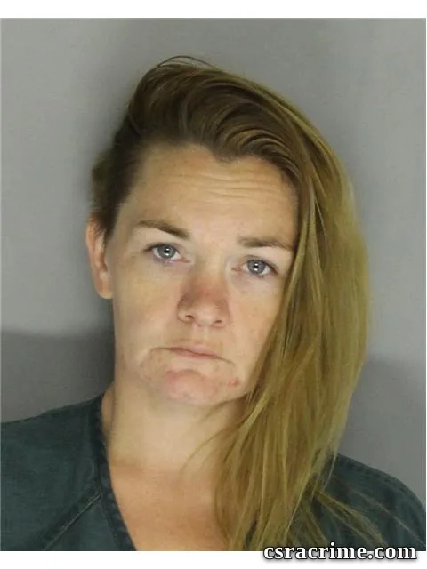 Amanda Wood booking photo