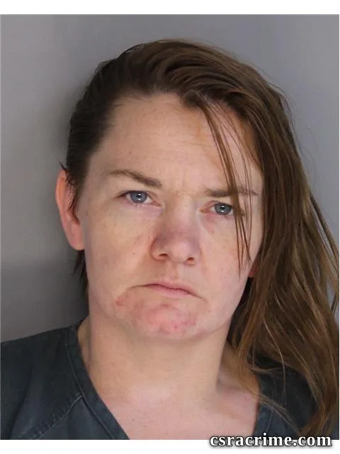 Amanda Wood booking photo