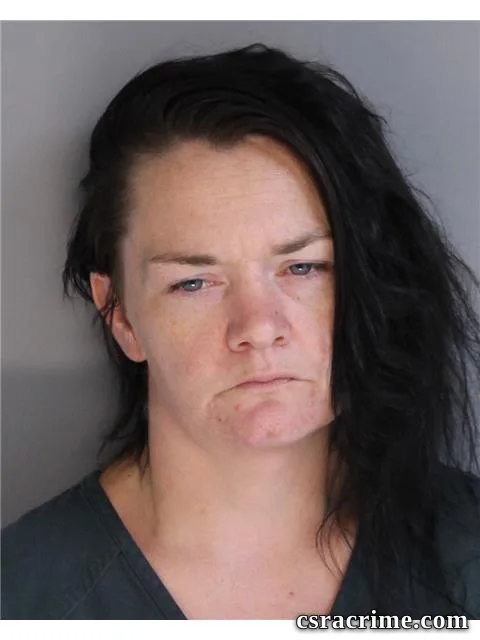 Amanda Wood booking photo