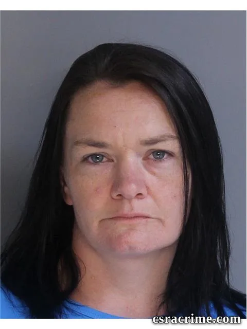 Amanda Wood booking photo