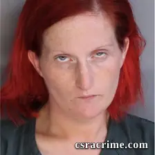 Amanda Wyatt booking photo