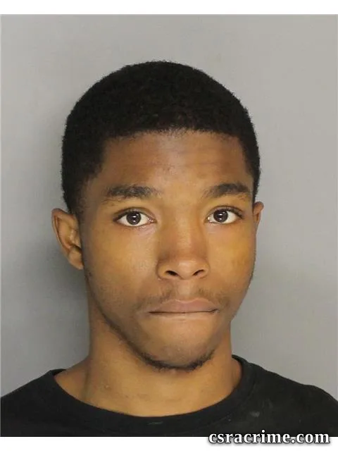 Amaryah Bush booking photo