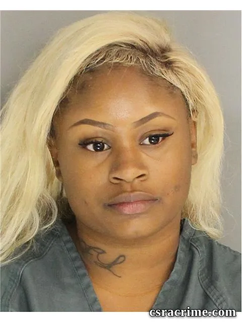 Amber Perkins booking photo