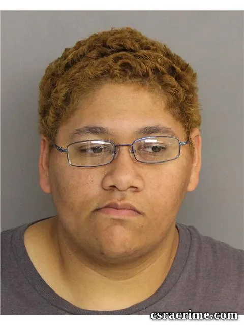 Amber Smith booking photo