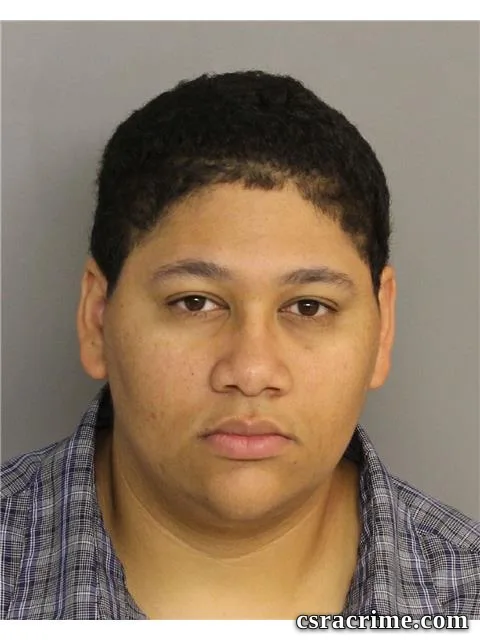 Amber Smith booking photo