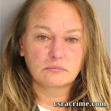 Amy Adams booking photo