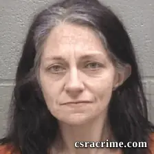 Amy Ann Breshears booking photo