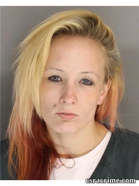 Amy Chalker booking photo