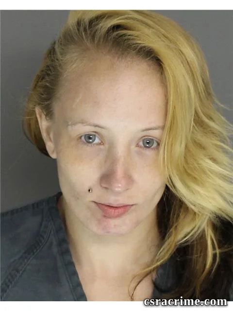 Amy Chalker booking photo