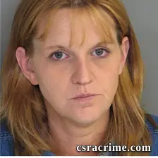 Amy Chavis booking photo