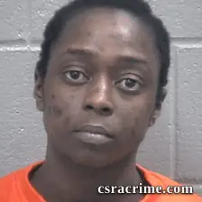 Amy Ford booking photo