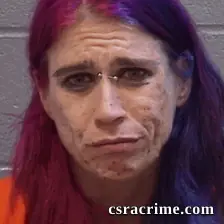 Amy Garnett booking photo